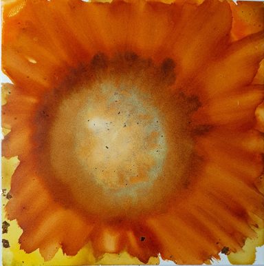 I love Fibonacci Alcohol ink depicting amber sunflower outline