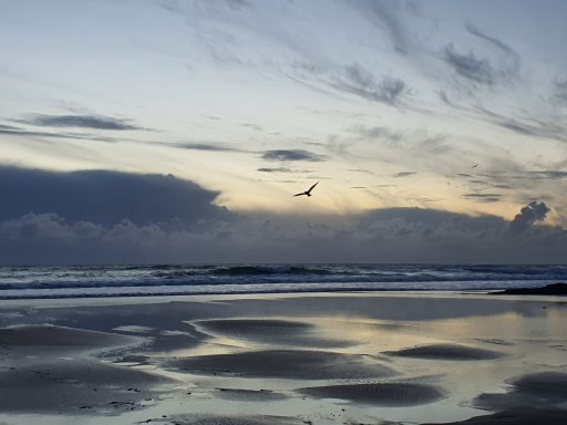 Trebarwith