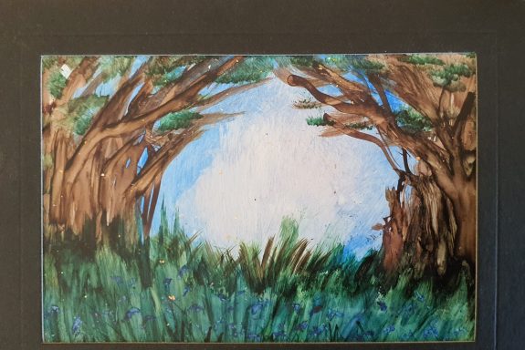 Bluebell Cathedral Bluebell woodland beneath large ancient trees arching over them and an opening letting light in